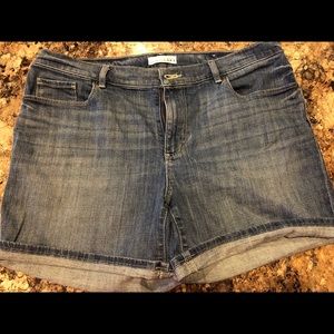 Loft Size 31/12 Denim Shorts